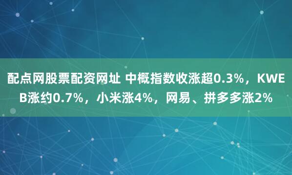 配点网股票配资网址 中概指数收涨超0.3%，KWEB涨约0.7%，小米涨4%，网易、拼多多涨2%